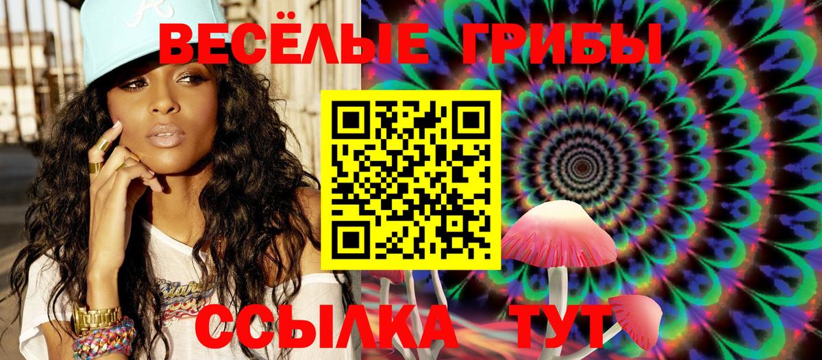 Псилоцибиновые грибы Magic Shrooms Мичуринск