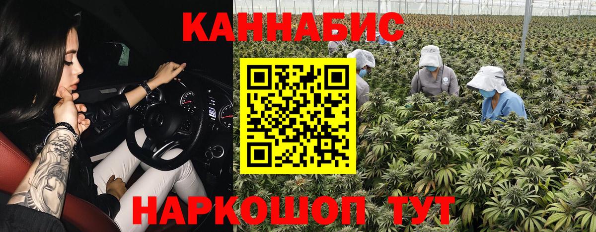 МАРИХУАНА сатива  Бошки Шишки тримм  Мичуринск  Вход с VPN  Канабис AK-47 
